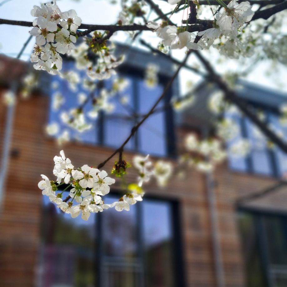 Navigationspunkt Frühlingserwachen im Pfälzerwald