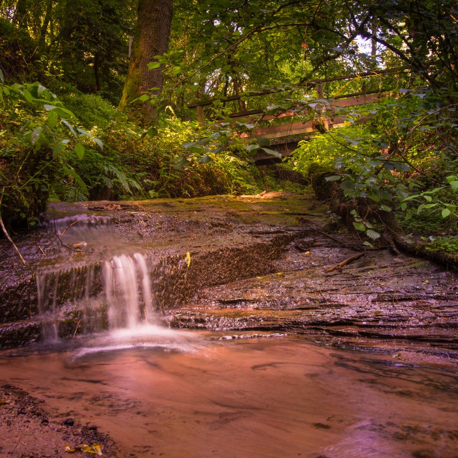 Navigationspunkt Waldbaden